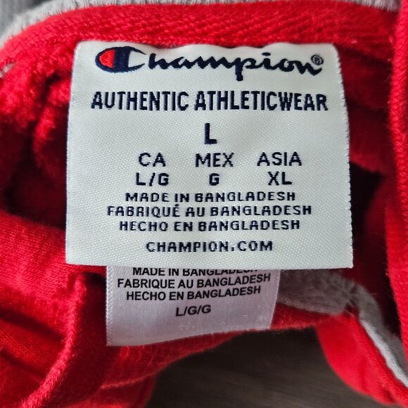 Champion Ohio State Buckeyes OSU Soft Red Hoodie Sweatshirt Size L - Picture 3 of 16